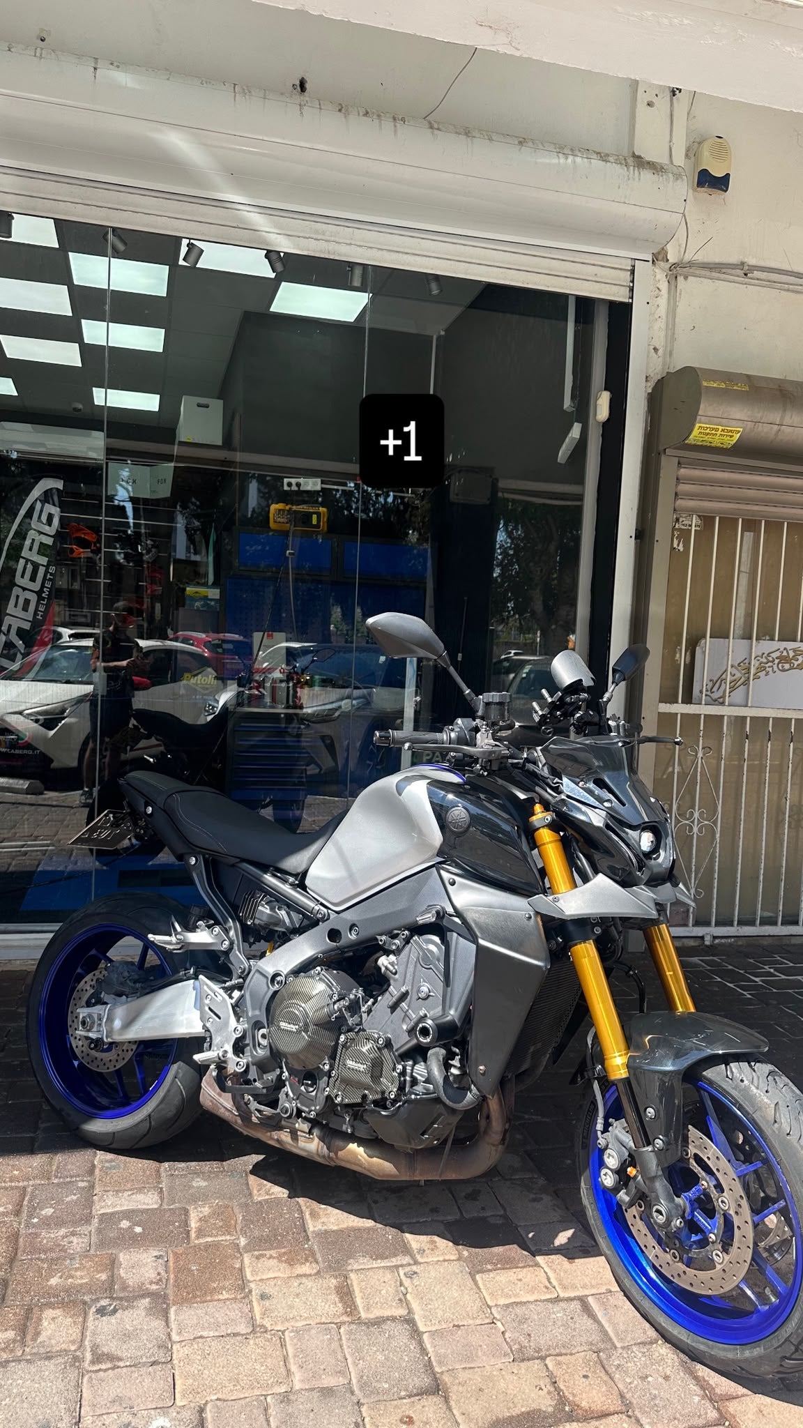תמונה מהשטיפה 11